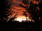 beautiful orange sunset with trees and all